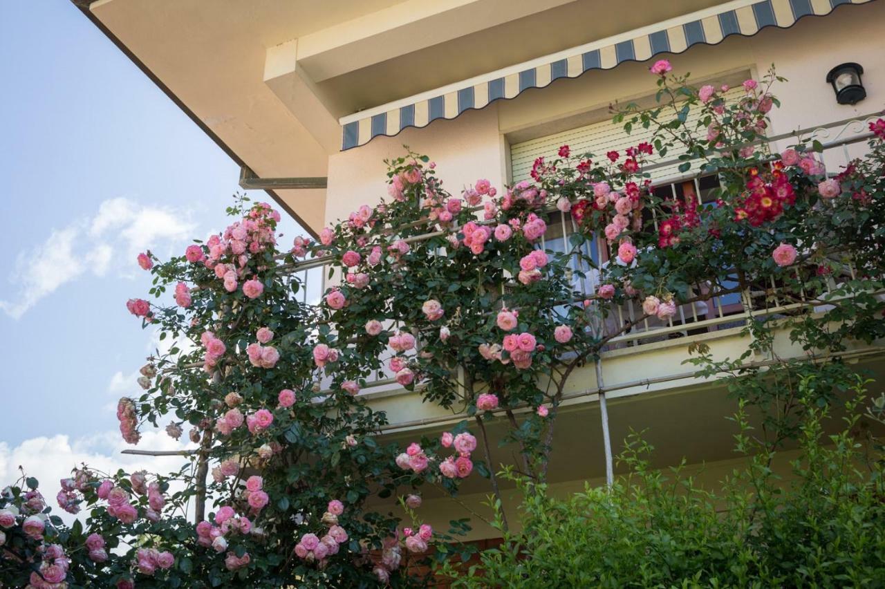 B&B Due Passi Dal Mare Cinquale Exteriér fotografie